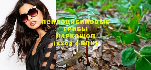 spice Алзамай