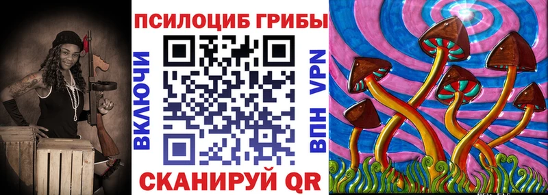 как найти закладки  Полярные Зори  Галлюциногенные грибы Cubensis 